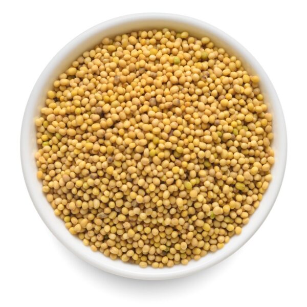 Yellow Mustard Seeds – Wholesale 1kg Pack
