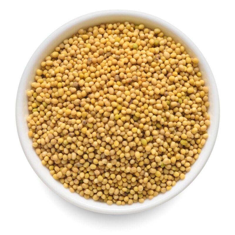Yellow-Mustard-Seeds Yellow Mustard Seeds – Wholesale 1kg Pack